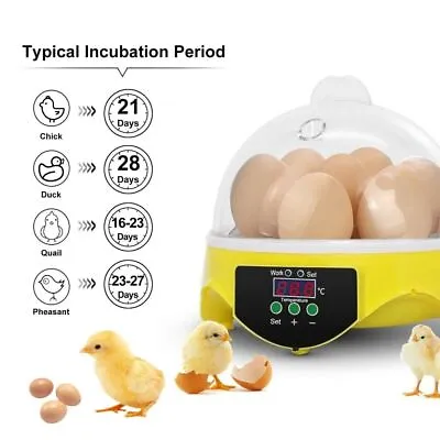 Semi Automatic Digital For 7 Eggs Incubator Chicken Duck Temperature Control UK • £23.79
