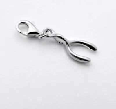 Sterling Silver Charm - Tales From The Earth - Wishbone - With Presentation Box • £18
