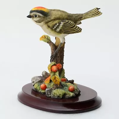 Maruri Premier Bird Collection GOLDEN CROWNED KINGLET Figurine W/ Base - Resin • $32.95