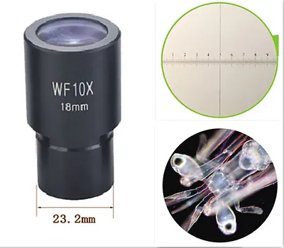 1PC 10X Widefield Eyepiece Reticle 0.01mm For Compound Bio-Microscope 23.2mm • £15.95