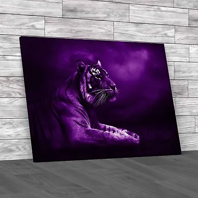 Stunning Lion Posing Tiger Under Dramatic Sky Purple Canvas Print Large Picture • £21.95