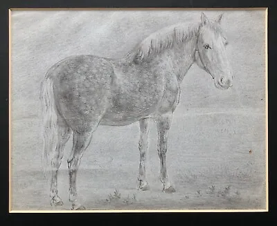 Manner Of James Howe Original Antique Graphite Pencil Drawing Sketch Of A Horse • £65