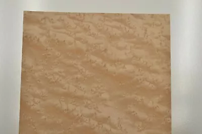 Birdseye Maple Raw Wood Veneer Sheet 8 X 31 Inches  DAMAGED              4680-88 • $13.99