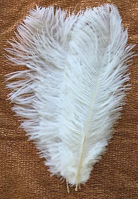 3 White Ostrich Feathers 25/30cm - DIY Craft Wedding Party Decoration • $6