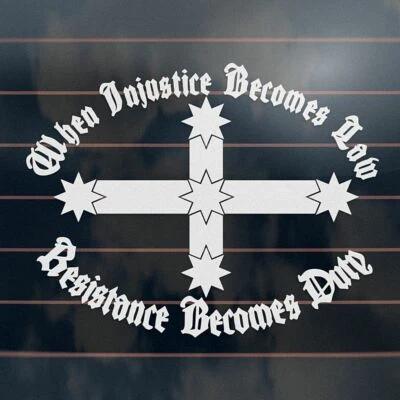 EUREKA SOUTHERN CROSS RESISTANCE Sticker 220mm Injustice Law Bns Vinyl Decal • $12.50