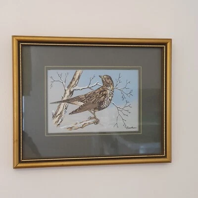 £6.99 • Buy Mistle Thrush Cash's Collection Range Turdus Viscivourus Woven Picture J&J Cash