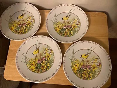 Marjolein Bastin Wildflower 4 Plates Yellow GoldFinch Bird 8  EUC W/Org. Sticker • $23.20