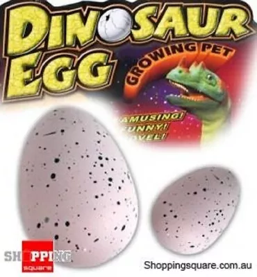 £6.49 • Buy Large Hatching Grow Your Own Dinosaur Egg Jurassic Era Toy Gift For Children