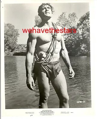 Vintage Mike Henry BEEFCAKE MUSCLE SEXY '66 TARZAN Publicity Portrait • $39.96