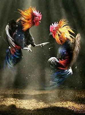 Retro Two Roosters Fighting Chicken Art Metal Wall Plaque Chicken Coop Decor Out • $9.41