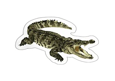 Alligator Sticker • $2.90