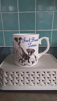 Ceramic Mug Featuring Jack Russell Dogs Norfolk China • £2.75