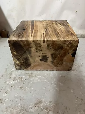 Ambrosia Maple Bowl  Blank/platter Blank/turning Wood (4101) • $20.50