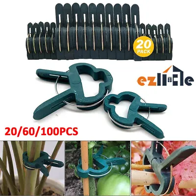 $29.99 • Buy 100 Tie Stem Grow Training Weatherproof Orchid Support Garden Plant Clips Tomato