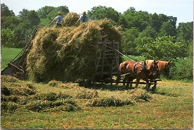 Postcard  Amish Scene At Hay Making Time - Horse-drawn Equipment • $4.99