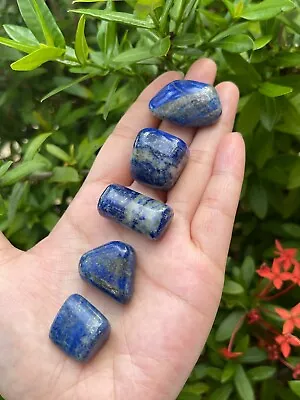 Grade A++ Lapis Lazuli Tumbled Stone 0.75-1 Inch Lapis Crystals Wholesale Bulk • $11.35