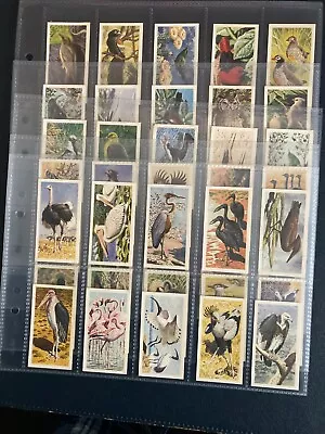 £0.99 • Buy Tea Cards Brooke Bond African Birds Rhodesia Full Set 1965