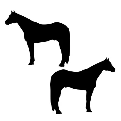 2X Reflective Decal Sticker Quarter Horse Tack Box Truck 4h Trailer Mailbox B • $15.93