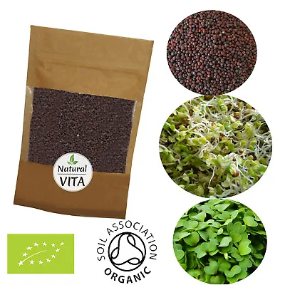 £6.99 • Buy Organic Broccoli Sprouting Seeds For Sprouts, Microgreens | SUPERFOOD 
