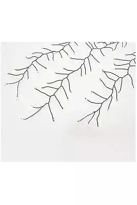 Martha Stewart Indoor/Outdoor 3-String 5.5' Branch Fairy Lights Clear • $31.44