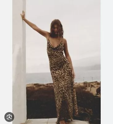 Zara Leopard Print Dress Viral Dress 5039/474 • £15