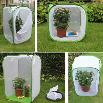 $15.19 • Buy Insect Cage Collapsible Mantis Mesh Butterfly Habitat Breeding Cage With Zipper