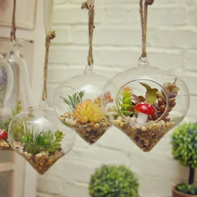 £4.08 • Buy XMAS Hanging Glass Ball Vase Flower Plant Pot Terrarium Container Party Decor