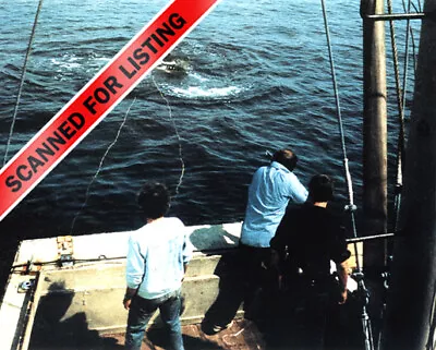 JAWS Roy Scheider & Boys Looking At Bruce The Shark Off The Orca 8X10 PHOTO #495 • $12.95