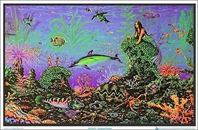 Octopus Garden By: Michael Fishel Laminated Blacklight Poster - 35.5  X 23.5  • $31.60