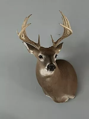 Deer Mount • $311.79