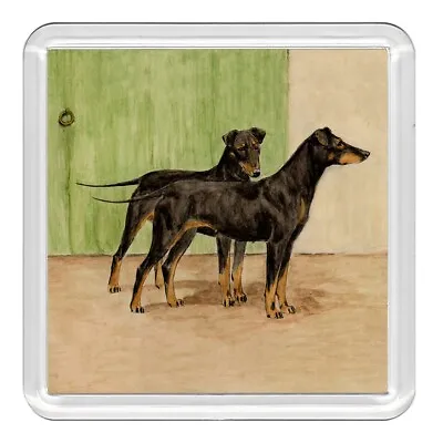 Manchester Terrier Dogs Dog Acrylic Coaster Novelty Drink Cup Mat Great Gift • £3.49