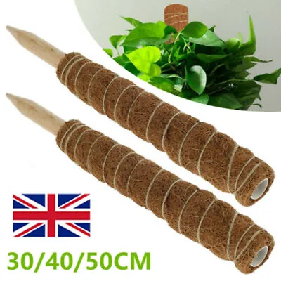 2X 30/50cm Plant Support Coir Moss Totem Pole Creeper Climbing Extension Garden* • £4.99