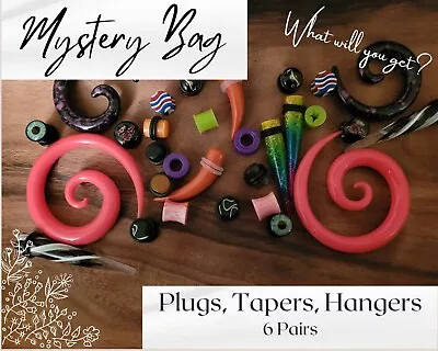 6 Pair Mix Ear Plugs Tapers Spirals Tunnels Acrylic Steel Organic Gauges Jewelry • $20.99