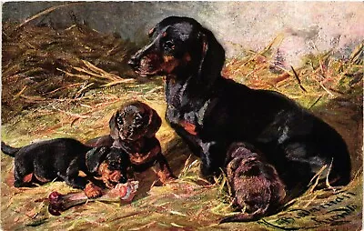 Dogs Dachshund Mother With Her Puppies Cute Vintage Postcard • £16.53