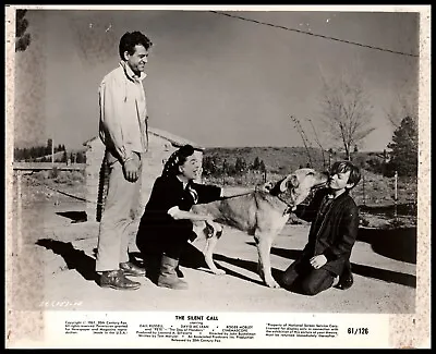 David McLean + Roger Mobley + Gail Russell In The Silent Call (1961) Photo K 174 • £19.29