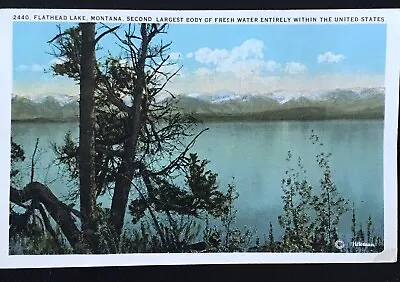 Antique Postcard Flathead Lake MT  Rathrum Idaho Postmark  1908 Teich • $3.69