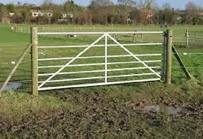 Horse Pony Muddy Gateway Repair Paddock Overseed  Pastures Grass Seed  5 Kg • £25.99