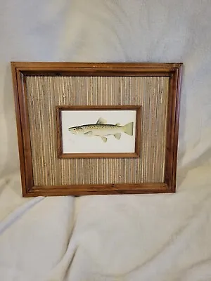 The Brown Trout Vintage Fish Sherman F. Denton Wall Art Print Framed Picture • $35