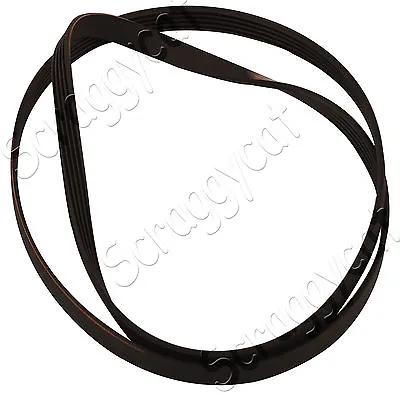 Hotpoint Indesit Washing Machine Drive Belt C00141664 5PJE 1208 Genuine • £11.77