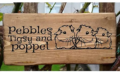 Guinea Pig Name Plaque Sign Pet Indoor Or Outdoor Garden Cage Hutch Plate Gift  • £24.99