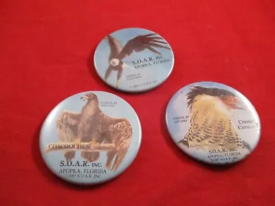 S.O.A.R. Inc. Apopka Florida Pin Series #1 #3 Coacoochee #5 Crested Caracara • $8.99