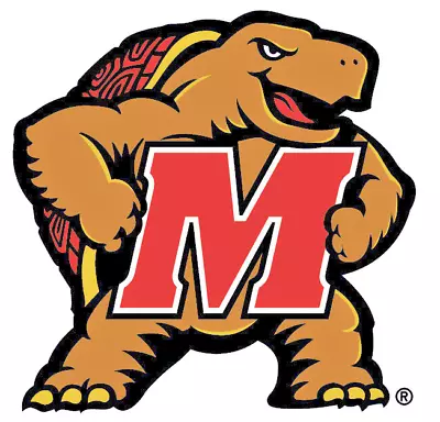 9 STYLES - Terrapins Wall Decal University Of Maryland Terps Sticker Decor Art • $8