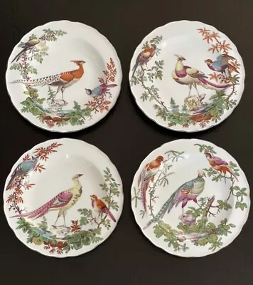 Stunning Rare Set 4 Mottahedeh Canton Chelsea Bird Botanical Display Plate 8.25” • $297