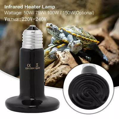 Ceramic Pet Heat Light Lamp Reptile Heater Light Lamp Bulb For Plants & Animals • $11.17