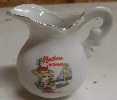 Vintage Northern Michigan Vacation Land Small Pitcher • $5