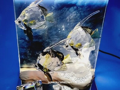 $299.99 • Buy Swarovski SCS 2007 Wonders Of The Sea Community Angel Fish 854650 Mib Complete