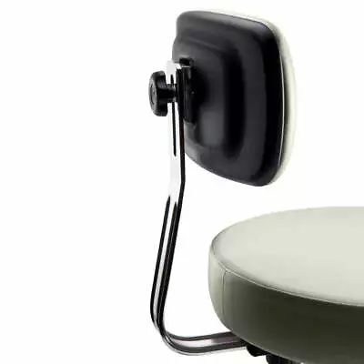 Ritter Stool Backrest • $187.99