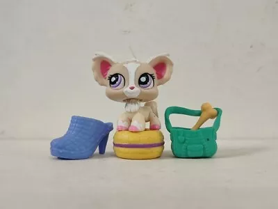 Littlest Pet Shop Toys LPS Chihuahua Dog #1892 W/4pcs Accessories For Kid • £7.19