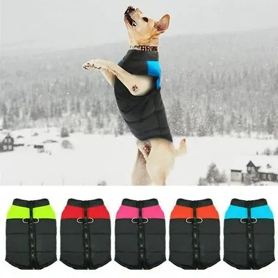 £2.99 • Buy Winter Dog Jacket For Small Dogs Warm Coat Waterproof Zip Up With Harness Hole