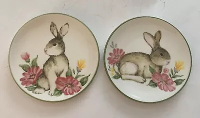 Set Of Two MAXCERA Appetizer Plates Spring Easter Bunny Flowers 6  • $14.95